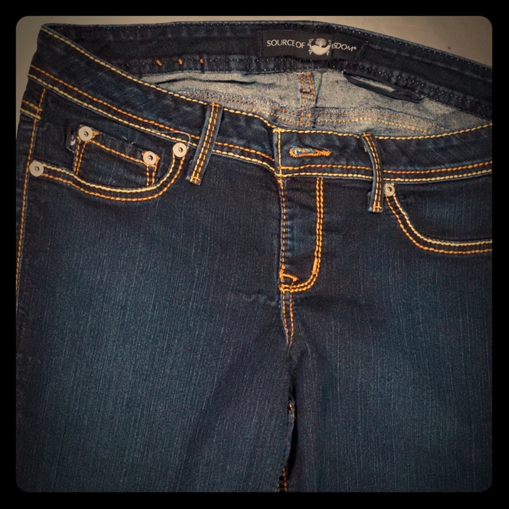 Source of Wisdom by Torrid Blue Skinny Jeans